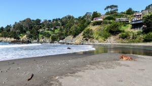 A vibrant dog park bathed in sunlight features abundant greenery with mature trees, offering ample shade for leisurely outdoor activities. In the distance is a well-equipped playground that presents an additional activity area. An inviting picnic table spreads out nearby, ideal for enjoying meals al fresco or taking relaxing breaks from play. A neatly-placed trash bin aids in maintaining the park's cleanliness for everyone's enjoyment. Dominating the scene is a generously wide dirt path gracefully curving through the expanse of grass, promising exploratory walks and lively fetch games.