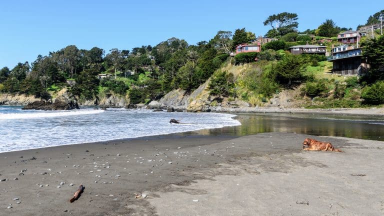 Muir Beach