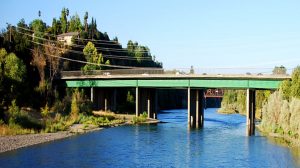 A vibrant dog park bathed in sunlight features abundant greenery with mature trees, offering ample shade for leisurely outdoor activities. In the distance is a well-equipped playground that presents an additional activity area. An inviting picnic table spreads out nearby, ideal for enjoying meals al fresco or taking relaxing breaks from play. A neatly-placed trash bin aids in maintaining the park's cleanliness for everyone's enjoyment. Dominating the scene is a generously wide dirt path gracefully curving through the expanse of grass, promising exploratory walks and lively fetch games.