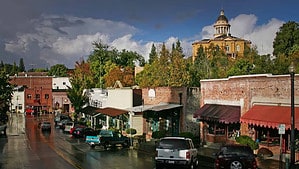 A vibrant dog park bathed in sunlight features abundant greenery with mature trees, offering ample shade for leisurely outdoor activities. In the distance is a well-equipped playground that presents an additional activity area. An inviting picnic table spreads out nearby, ideal for enjoying meals al fresco or taking relaxing breaks from play. A neatly-placed trash bin aids in maintaining the park's cleanliness for everyone's enjoyment. Dominating the scene is a generously wide dirt path gracefully curving through the expanse of grass, promising exploratory walks and lively fetch games.