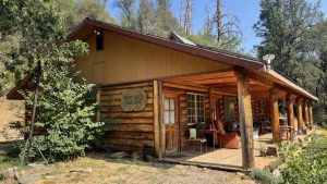 A vibrant dog park bathed in sunlight features abundant greenery with mature trees, offering ample shade for leisurely outdoor activities. In the distance is a well-equipped playground that presents an additional activity area. An inviting picnic table spreads out nearby, ideal for enjoying meals al fresco or taking relaxing breaks from play. A neatly-placed trash bin aids in maintaining the park's cleanliness for everyone's enjoyment. Dominating the scene is a generously wide dirt path gracefully curving through the expanse of grass, promising exploratory walks and lively fetch games.
