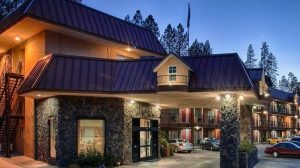 A vibrant dog park bathed in sunlight features abundant greenery with mature trees, offering ample shade for leisurely outdoor activities. In the distance is a well-equipped playground that presents an additional activity area. An inviting picnic table spreads out nearby, ideal for enjoying meals al fresco or taking relaxing breaks from play. A neatly-placed trash bin aids in maintaining the park's cleanliness for everyone's enjoyment. Dominating the scene is a generously wide dirt path gracefully curving through the expanse of grass, promising exploratory walks and lively fetch games.