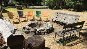 A vibrant dog park bathed in sunlight features abundant greenery with mature trees, offering ample shade for leisurely outdoor activities. In the distance is a well-equipped playground that presents an additional activity area. An inviting picnic table spreads out nearby, ideal for enjoying meals al fresco or taking relaxing breaks from play. A neatly-placed trash bin aids in maintaining the park's cleanliness for everyone's enjoyment. Dominating the scene is a generously wide dirt path gracefully curving through the expanse of grass, promising exploratory walks and lively fetch games.