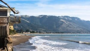 A vibrant dog park bathed in sunlight features abundant greenery with mature trees, offering ample shade for leisurely outdoor activities. In the distance is a well-equipped playground that presents an additional activity area. An inviting picnic table spreads out nearby, ideal for enjoying meals al fresco or taking relaxing breaks from play. A neatly-placed trash bin aids in maintaining the park's cleanliness for everyone's enjoyment. Dominating the scene is a generously wide dirt path gracefully curving through the expanse of grass, promising exploratory walks and lively fetch games.