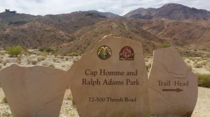 A vibrant dog park bathed in sunlight features abundant greenery with mature trees, offering ample shade for leisurely outdoor activities. In the distance is a well-equipped playground that presents an additional activity area. An inviting picnic table spreads out nearby, ideal for enjoying meals al fresco or taking relaxing breaks from play. A neatly-placed trash bin aids in maintaining the park's cleanliness for everyone's enjoyment. Dominating the scene is a generously wide dirt path gracefully curving through the expanse of grass, promising exploratory walks and lively fetch games.