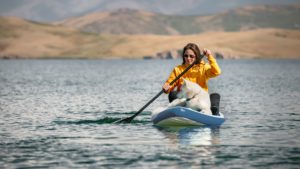 A vibrant dog park bathed in sunlight features abundant greenery with mature trees, offering ample shade for leisurely outdoor activities. In the distance is a well-equipped playground that presents an additional activity area. An inviting picnic table spreads out nearby, ideal for enjoying meals al fresco or taking relaxing breaks from play. A neatly-placed trash bin aids in maintaining the park's cleanliness for everyone's enjoyment. Dominating the scene is a generously wide dirt path gracefully curving through the expanse of grass, promising exploratory walks and lively fetch games.