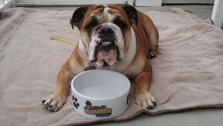 Pismo Lighthouse Suites