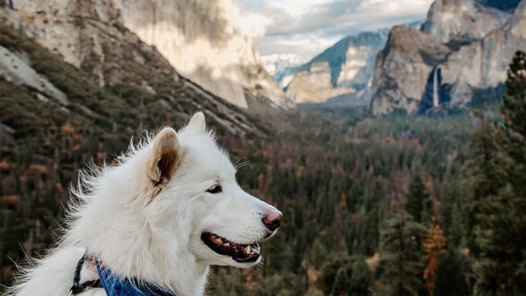 Yosemite National Park
