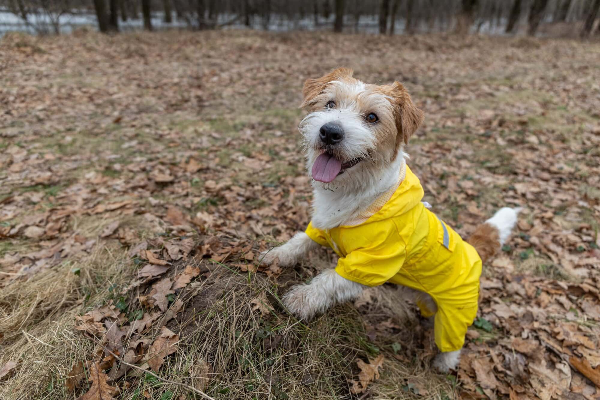 Photo by City of Healdsburg.