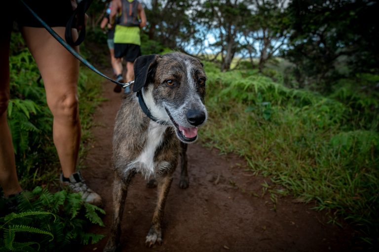 Briones Regional Park
