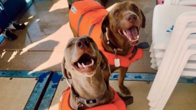 Bridge Bay Resort & Marina