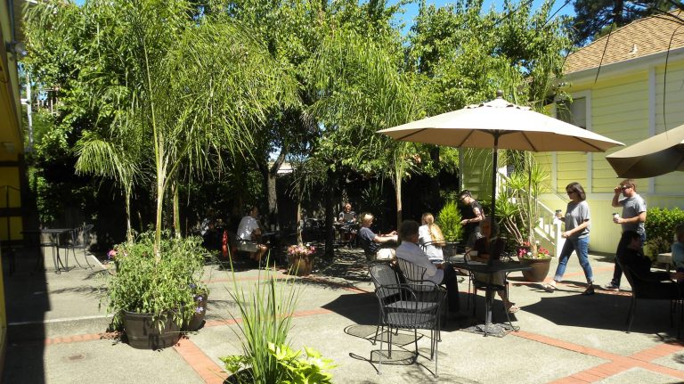 Doctor Insomniac’s