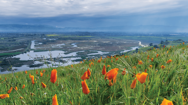 East Bay Regional Park District