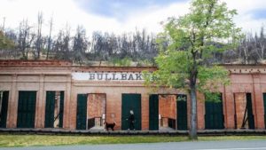 A vibrant dog park bathed in sunlight features abundant greenery with mature trees, offering ample shade for leisurely outdoor activities. In the distance is a well-equipped playground that presents an additional activity area. An inviting picnic table spreads out nearby, ideal for enjoying meals al fresco or taking relaxing breaks from play. A neatly-placed trash bin aids in maintaining the park's cleanliness for everyone's enjoyment. Dominating the scene is a generously wide dirt path gracefully curving through the expanse of grass, promising exploratory walks and lively fetch games.