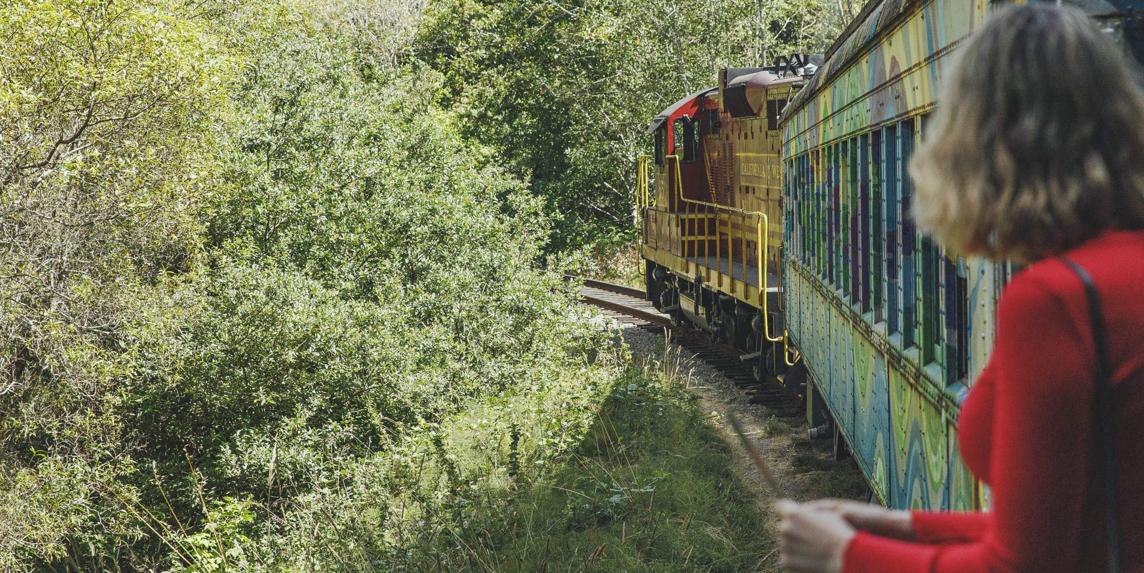 Skunk Train. Photo by Brendan McGuigan