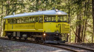 A vibrant dog park bathed in sunlight features abundant greenery with mature trees, offering ample shade for leisurely outdoor activities. In the distance is a well-equipped playground that presents an additional activity area. An inviting picnic table spreads out nearby, ideal for enjoying meals al fresco or taking relaxing breaks from play. A neatly-placed trash bin aids in maintaining the park's cleanliness for everyone's enjoyment. Dominating the scene is a generously wide dirt path gracefully curving through the expanse of grass, promising exploratory walks and lively fetch games.