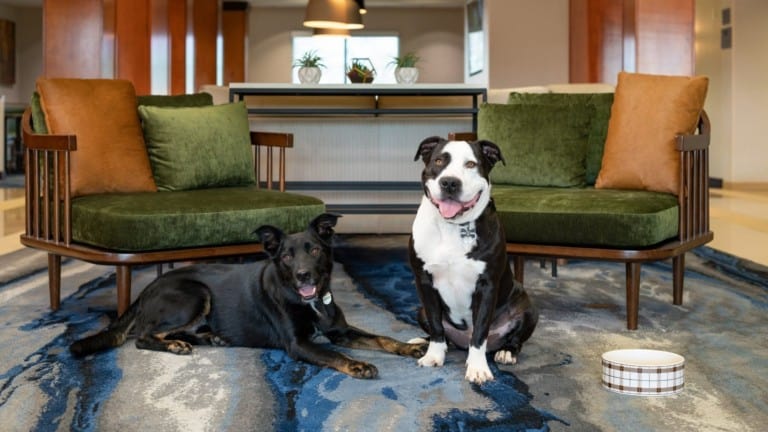 Fairfield Inn and Suites Redding