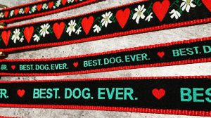 A vibrant dog park bathed in sunlight features abundant greenery with mature trees, offering ample shade for leisurely outdoor activities. In the distance is a well-equipped playground that presents an additional activity area. An inviting picnic table spreads out nearby, ideal for enjoying meals al fresco or taking relaxing breaks from play. A neatly-placed trash bin aids in maintaining the park's cleanliness for everyone's enjoyment. Dominating the scene is a generously wide dirt path gracefully curving through the expanse of grass, promising exploratory walks and lively fetch games.