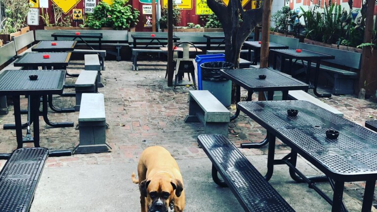 Heart and Dagger Saloon