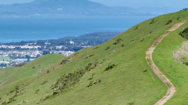 Wildcat Canyon Regional Park