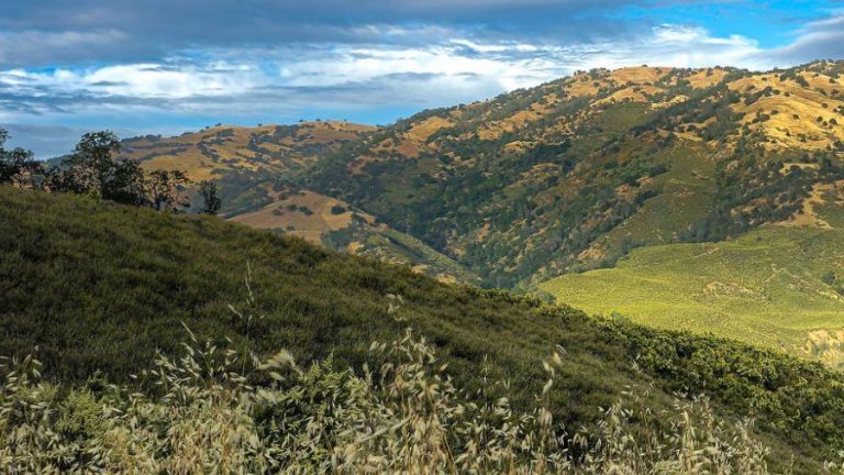 Ohlone Wilderness Regional Preserve