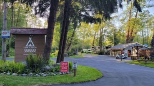 A vibrant dog park bathed in sunlight features abundant greenery with mature trees, offering ample shade for leisurely outdoor activities. In the distance is a well-equipped playground that presents an additional activity area. An inviting picnic table spreads out nearby, ideal for enjoying meals al fresco or taking relaxing breaks from play. A neatly-placed trash bin aids in maintaining the park's cleanliness for everyone's enjoyment. Dominating the scene is a generously wide dirt path gracefully curving through the expanse of grass, promising exploratory walks and lively fetch games.