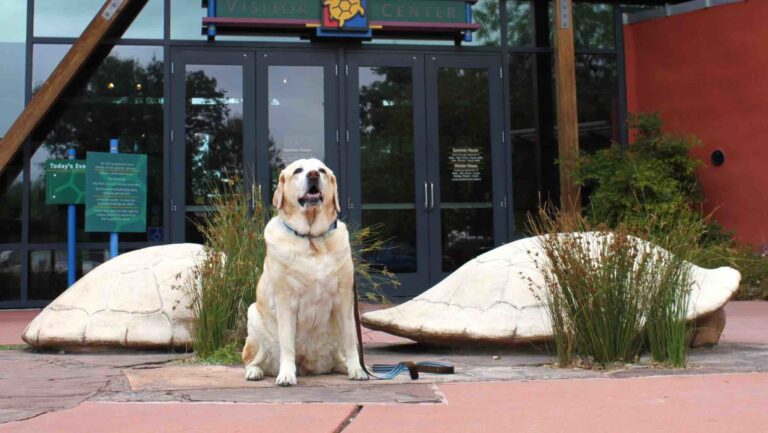 Turtle Bay Exploration Park