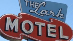 A vibrant dog park bathed in sunlight features abundant greenery with mature trees, offering ample shade for leisurely outdoor activities. In the distance is a well-equipped playground that presents an additional activity area. An inviting picnic table spreads out nearby, ideal for enjoying meals al fresco or taking relaxing breaks from play. A neatly-placed trash bin aids in maintaining the park's cleanliness for everyone's enjoyment. Dominating the scene is a generously wide dirt path gracefully curving through the expanse of grass, promising exploratory walks and lively fetch games.