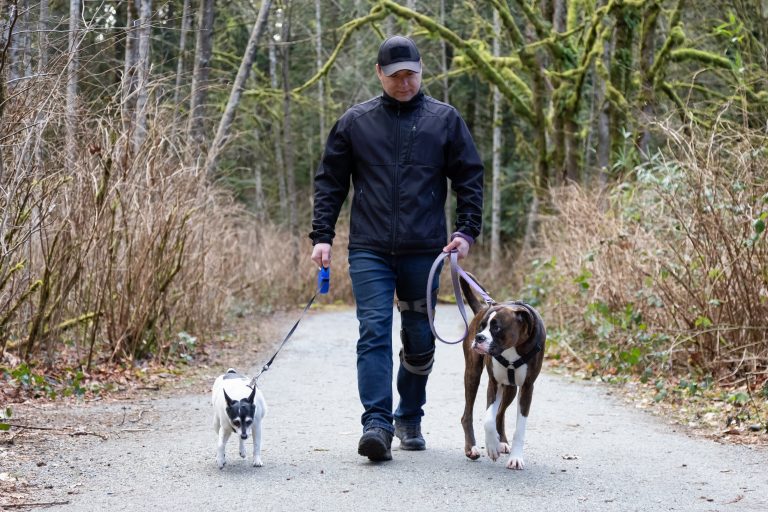 Shell Ridge Open Space