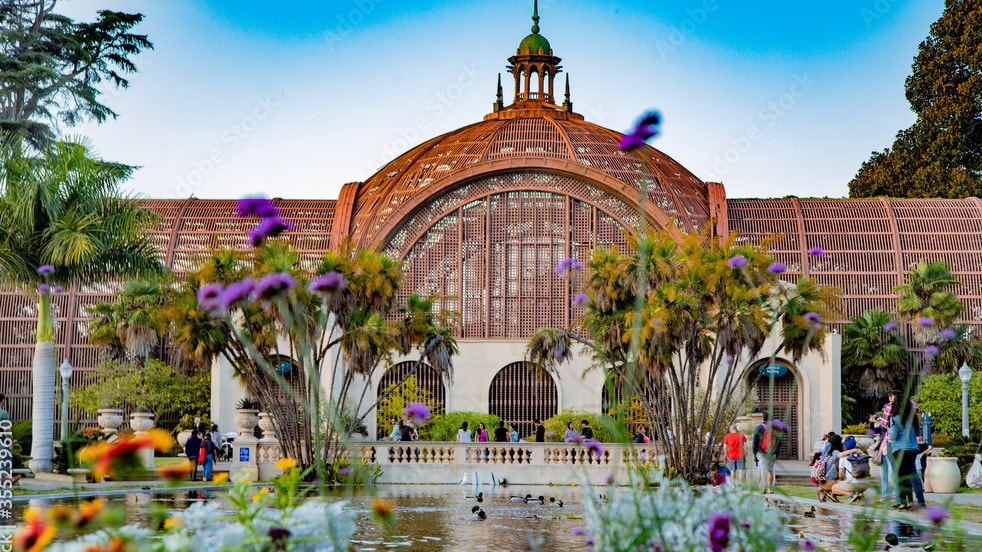 Lily Pond at Balboa Park, San Diego