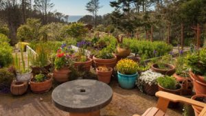 A vibrant dog park bathed in sunlight features abundant greenery with mature trees, offering ample shade for leisurely outdoor activities. In the distance is a well-equipped playground that presents an additional activity area. An inviting picnic table spreads out nearby, ideal for enjoying meals al fresco or taking relaxing breaks from play. A neatly-placed trash bin aids in maintaining the park's cleanliness for everyone's enjoyment. Dominating the scene is a generously wide dirt path gracefully curving through the expanse of grass, promising exploratory walks and lively fetch games.