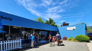 A vibrant dog park bathed in sunlight features abundant greenery with mature trees, offering ample shade for leisurely outdoor activities. In the distance is a well-equipped playground that presents an additional activity area. An inviting picnic table spreads out nearby, ideal for enjoying meals al fresco or taking relaxing breaks from play. A neatly-placed trash bin aids in maintaining the park's cleanliness for everyone's enjoyment. Dominating the scene is a generously wide dirt path gracefully curving through the expanse of grass, promising exploratory walks and lively fetch games.