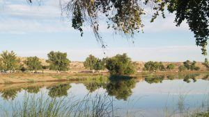 A vibrant dog park bathed in sunlight features abundant greenery with mature trees, offering ample shade for leisurely outdoor activities. In the distance is a well-equipped playground that presents an additional activity area. An inviting picnic table spreads out nearby, ideal for enjoying meals al fresco or taking relaxing breaks from play. A neatly-placed trash bin aids in maintaining the park's cleanliness for everyone's enjoyment. Dominating the scene is a generously wide dirt path gracefully curving through the expanse of grass, promising exploratory walks and lively fetch games.