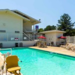 A vibrant dog park bathed in sunlight features abundant greenery with mature trees, offering ample shade for leisurely outdoor activities. In the distance is a well-equipped playground that presents an additional activity area. An inviting picnic table spreads out nearby, ideal for enjoying meals al fresco or taking relaxing breaks from play. A neatly-placed trash bin aids in maintaining the park's cleanliness for everyone's enjoyment. Dominating the scene is a generously wide dirt path gracefully curving through the expanse of grass, promising exploratory walks and lively fetch games.