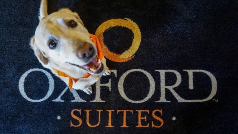 Oxford Suites Redding