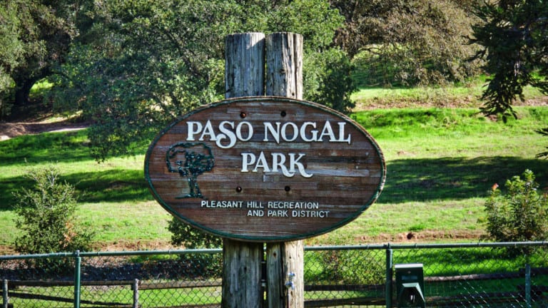 Paso Nogal Open Space and Dog Park