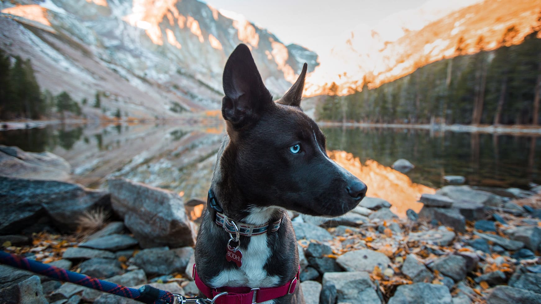 Photo by Mammoth Lakes