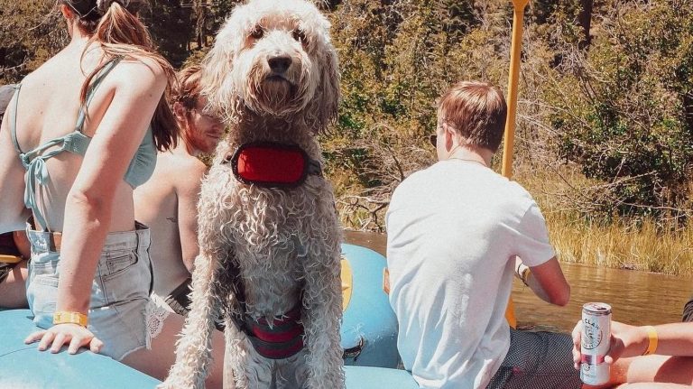 Truckee River Raft Rentals