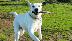 Plugas Ridge Open Space