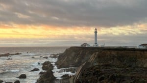 A vibrant dog park bathed in sunlight features abundant greenery with mature trees, offering ample shade for leisurely outdoor activities. In the distance is a well-equipped playground that presents an additional activity area. An inviting picnic table spreads out nearby, ideal for enjoying meals al fresco or taking relaxing breaks from play. A neatly-placed trash bin aids in maintaining the park's cleanliness for everyone's enjoyment. Dominating the scene is a generously wide dirt path gracefully curving through the expanse of grass, promising exploratory walks and lively fetch games.