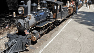 A vibrant dog park bathed in sunlight features abundant greenery with mature trees, offering ample shade for leisurely outdoor activities. In the distance is a well-equipped playground that presents an additional activity area. An inviting picnic table spreads out nearby, ideal for enjoying meals al fresco or taking relaxing breaks from play. A neatly-placed trash bin aids in maintaining the park's cleanliness for everyone's enjoyment. Dominating the scene is a generously wide dirt path gracefully curving through the expanse of grass, promising exploratory walks and lively fetch games.
