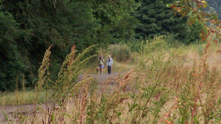 Riverfront Regional Park