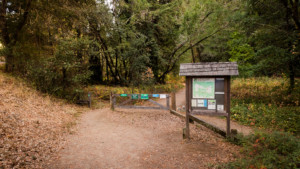 A vibrant dog park bathed in sunlight features abundant greenery with mature trees, offering ample shade for leisurely outdoor activities. In the distance is a well-equipped playground that presents an additional activity area. An inviting picnic table spreads out nearby, ideal for enjoying meals al fresco or taking relaxing breaks from play. A neatly-placed trash bin aids in maintaining the park's cleanliness for everyone's enjoyment. Dominating the scene is a generously wide dirt path gracefully curving through the expanse of grass, promising exploratory walks and lively fetch games.