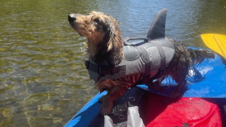 Russian River Adventures