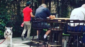 A vibrant dog park bathed in sunlight features abundant greenery with mature trees, offering ample shade for leisurely outdoor activities. In the distance is a well-equipped playground that presents an additional activity area. An inviting picnic table spreads out nearby, ideal for enjoying meals al fresco or taking relaxing breaks from play. A neatly-placed trash bin aids in maintaining the park's cleanliness for everyone's enjoyment. Dominating the scene is a generously wide dirt path gracefully curving through the expanse of grass, promising exploratory walks and lively fetch games.