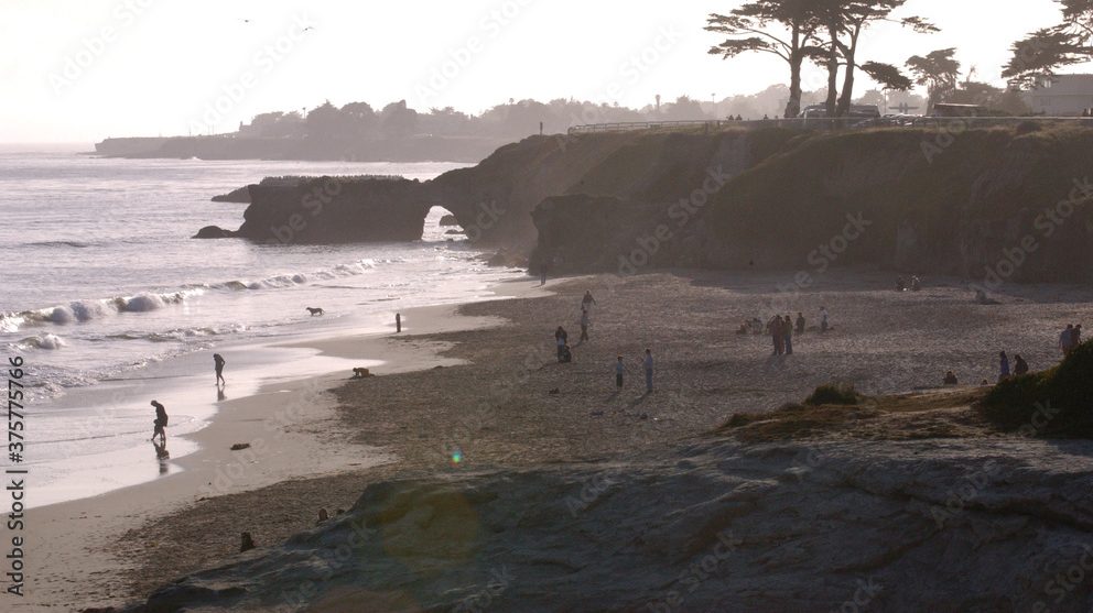 A vibrant dog park bathed in sunlight features abundant greenery with mature trees, offering ample shade for leisurely outdoor activities. In the distance is a well-equipped playground that presents an additional activity area. An inviting picnic table spreads out nearby, ideal for enjoying meals al fresco or taking relaxing breaks from play. A neatly-placed trash bin aids in maintaining the park's cleanliness for everyone's enjoyment. Dominating the scene is a generously wide dirt path gracefully curving through the expanse of grass, promising exploratory walks and lively fetch games.