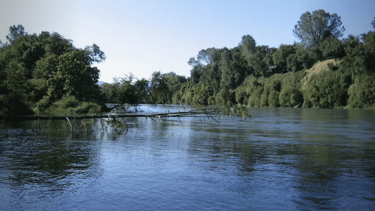 John Reginato River Access