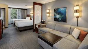 A vibrant dog park bathed in sunlight features abundant greenery with mature trees, offering ample shade for leisurely outdoor activities. In the distance is a well-equipped playground that presents an additional activity area. An inviting picnic table spreads out nearby, ideal for enjoying meals al fresco or taking relaxing breaks from play. A neatly-placed trash bin aids in maintaining the park's cleanliness for everyone's enjoyment. Dominating the scene is a generously wide dirt path gracefully curving through the expanse of grass, promising exploratory walks and lively fetch games.