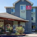 A vibrant dog park bathed in sunlight features abundant greenery with mature trees, offering ample shade for leisurely outdoor activities. In the distance is a well-equipped playground that presents an additional activity area. An inviting picnic table spreads out nearby, ideal for enjoying meals al fresco or taking relaxing breaks from play. A neatly-placed trash bin aids in maintaining the park's cleanliness for everyone's enjoyment. Dominating the scene is a generously wide dirt path gracefully curving through the expanse of grass, promising exploratory walks and lively fetch games.