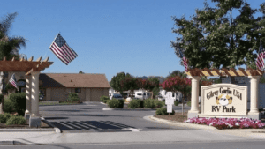 A vibrant dog park bathed in sunlight features abundant greenery with mature trees, offering ample shade for leisurely outdoor activities. In the distance is a well-equipped playground that presents an additional activity area. An inviting picnic table spreads out nearby, ideal for enjoying meals al fresco or taking relaxing breaks from play. A neatly-placed trash bin aids in maintaining the park's cleanliness for everyone's enjoyment. Dominating the scene is a generously wide dirt path gracefully curving through the expanse of grass, promising exploratory walks and lively fetch games.